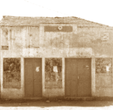 1966