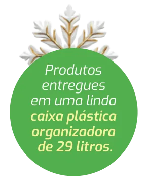Produtos entregues em uma linda caixa plástica organizadora de 29 litros.